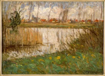 Acqua stagnante in primavera