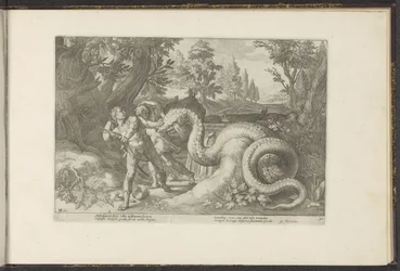 Compagni di Cadmo divorati da un drago (serie: Metamorfosi di Ovidio)