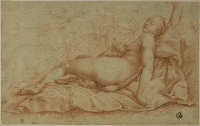 Venere reclinata