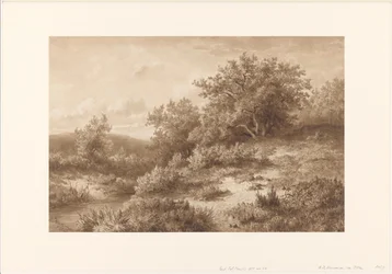 Paesaggio con ruscello e cespugli