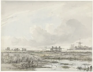 Paesaggio paludoso fuori città