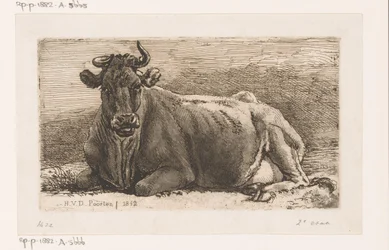 Mucca sdraiata