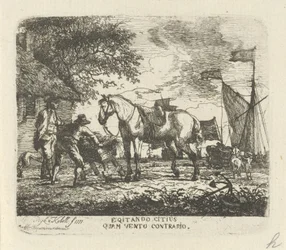 Nutrire il cavallo