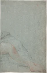 Studio delle gambe di una donna seduta