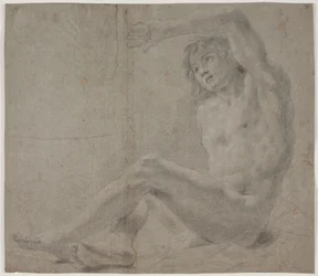 Studio di modello maschile