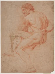Studio di modello maschile