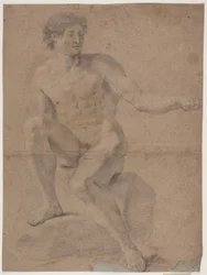 Studio di modello maschile