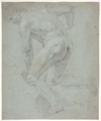 Studio di modello maschile