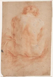 Studio di modello maschile seduto, visto da dietro