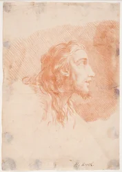 Testa di uomo con barba e capelli lunghi (Cristo)