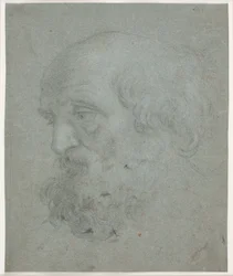 Testa di Uomo Barbuto (Apostolo Pietro)
