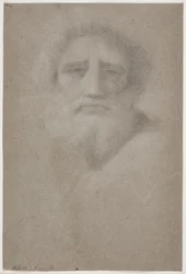 Testa di uomo barbuto