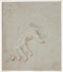 Studio di una mano