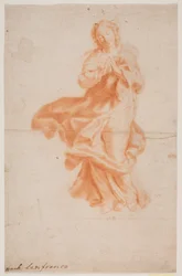 Maria fluttuante