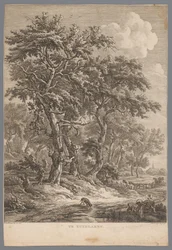 Paesaggio vicino a Zuidlaren