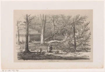 Albero caduto presso la società, dopo la tempesta del 28 maggio 1860 (Album di dieci schizzi litografati, rappresentanti scene della distruzione causata dalla tempesta del 28 maggio 1860 nella foresta di 