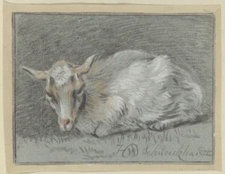 Capra sdraiata