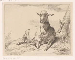 Capra sdraiata