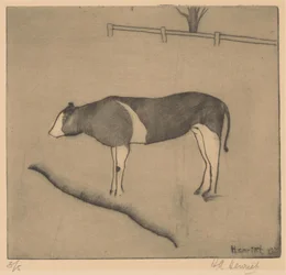 Mucca in piedi vicino a una riva