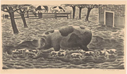Scrofa con otto maialini
