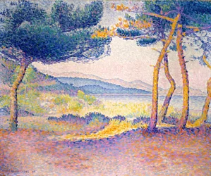 Pini lungo la riva