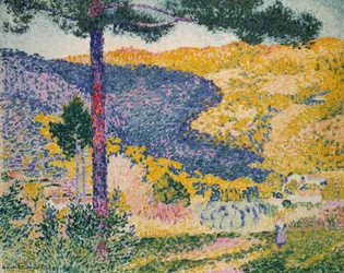 Valle con abeti (Ombra sulla montagna)