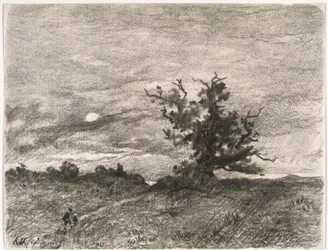 Paesaggio al chiaro di luna