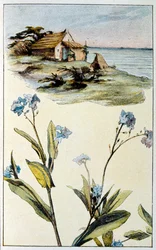 Illustrazione per "Le Tresor d