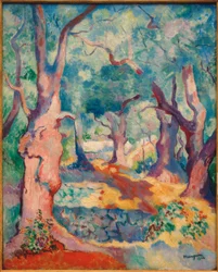 Gli ulivi a Cavalière