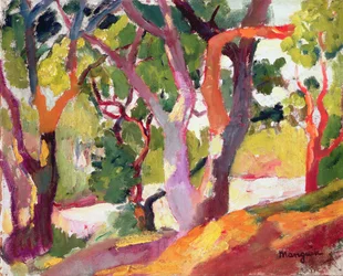 Alberi
