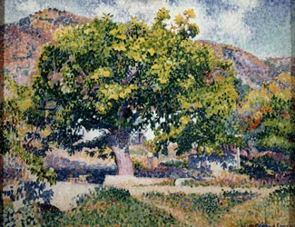 Vicino a casa mia, 1906