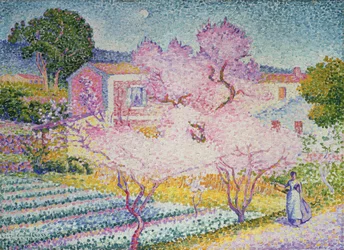 Immagine sconosciuta