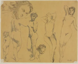 Studi di nudi femminili