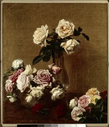 Le rose