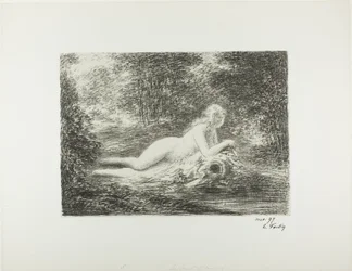 La primavera nel bosco