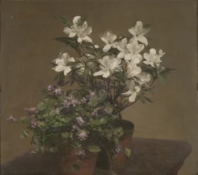 Viole e azalee