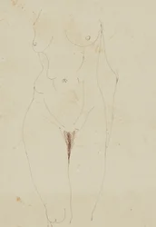 Torso di nudo femminile