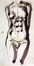 Torso femminile