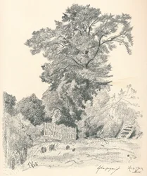 Studio di alberi, c1839-1898, 1898