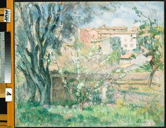 Il giardino dell