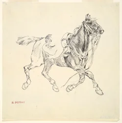 Cavallo militare