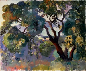 Paesaggio a Saint-Tropez