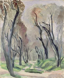 Viale degli Ulivi