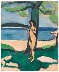 Nudo in riva al mare