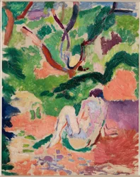 Nudo in un bosco