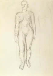 Studio di un nudo