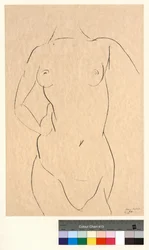 Torso di fronte