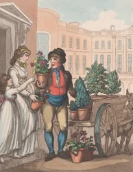 Grida di Londra, No. 6: Tutto cresce, ecco i fiori, 1 marzo 1799
