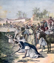 La piaga delle locuste, Algeria