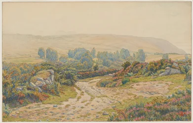 Nebbia e rugiada. Lande di Pors Léonnec. Morgat